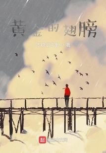 财政部的职能范围有哪些
