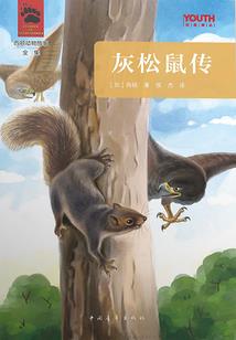 2017东奥从业