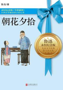 林烝立信会计师