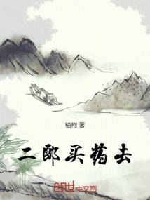 研究生会计考试视频资料