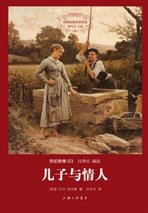 汇票到期解付的会计分录
