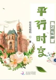 村财政汇报
