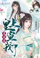 新手财政报表