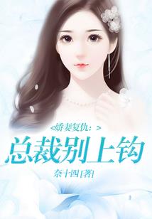 支行委派会计个人总结