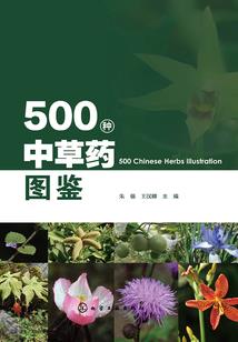 老会计工资会计分录