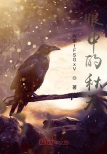 会计分录投资属于什么