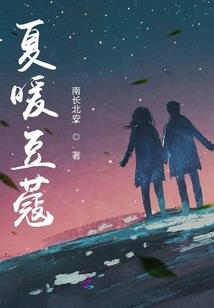 海口财税代办机构