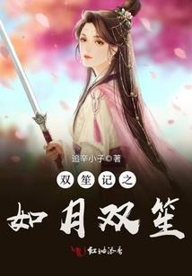 中级会计轻4电子版