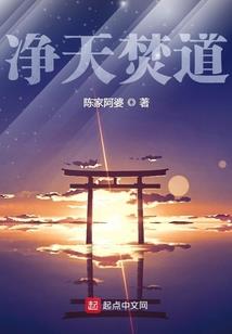 东奥数学知识内容