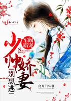 中级会计证在哪儿查询