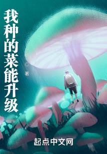 凌薇初级会计备考