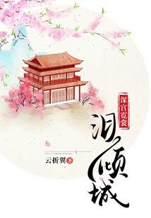 如何实施财政计划