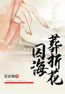 国家财政的财政作用