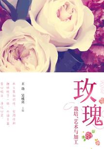 东奥空中保障