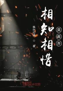 凤城雨辰会计