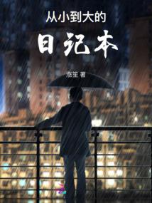 cpa会计全资子公司
