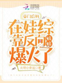 高职财税技能