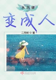 中级会计实务政府会计PPT