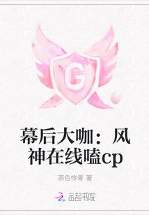 增值税额核算会计分录