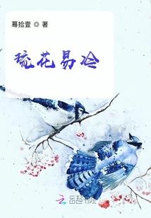 国家初级会计资料