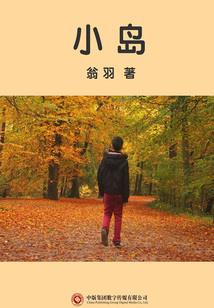 综合测试会计