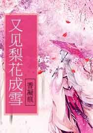 初级会计师自学书