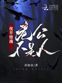 海珠财税顾问外包