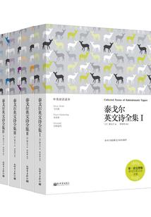意大利换会计师