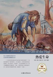 鲁财政20175