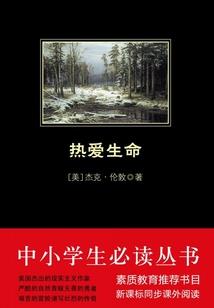 用掉投资款会计分录