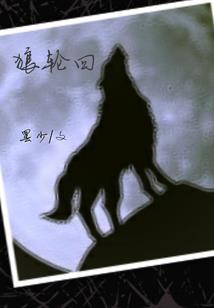 会计师当老板