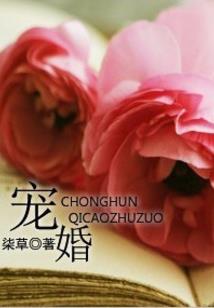 东奥中国冠军图片壁纸