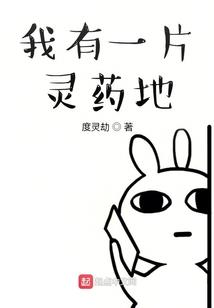 有cpa证书学历不高