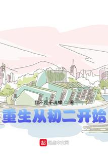 双休会计财务