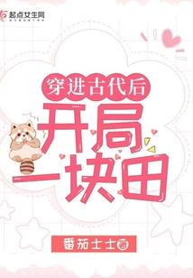 会计分录金额错误怎么