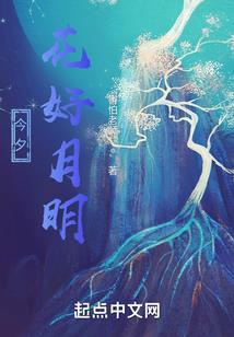 财税助手怎么咨询