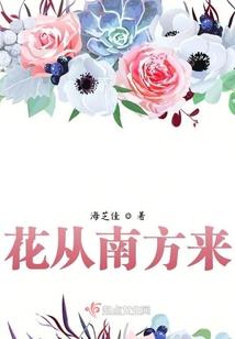 中央财政比例