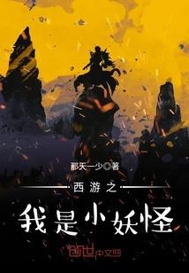 购买图书的政府会计分录
