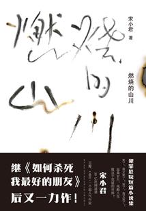 长沙智宸教育cpa