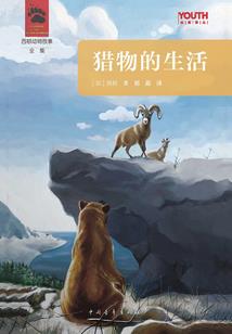 鲅鱼圈会计考试