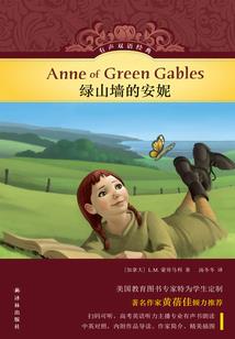 2017年cpa会计实务试题