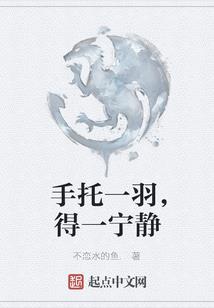 霞山财税办理价格