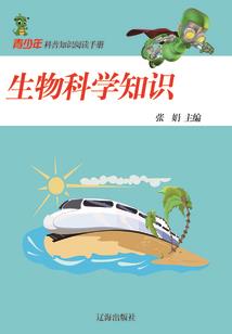 开封市初级会计