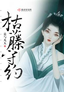 商业会计师手册