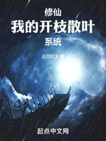 石狮财税哪家强